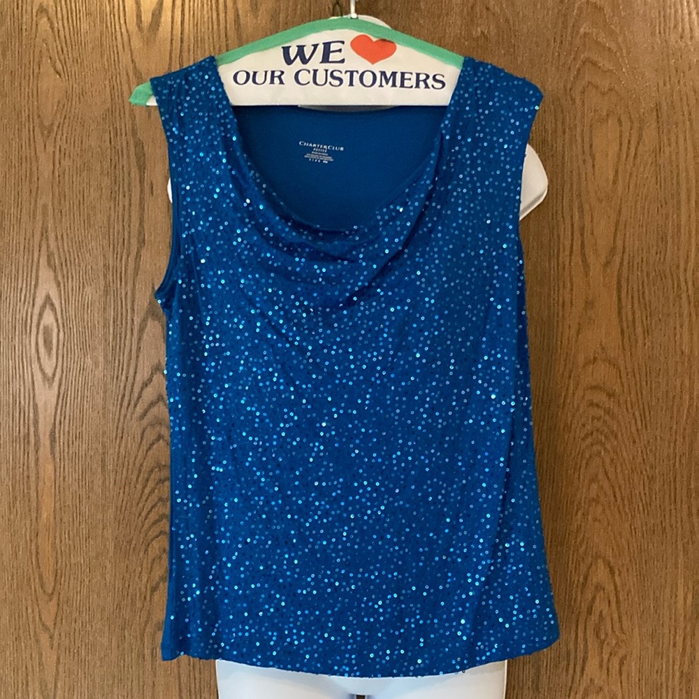 Gorgeous Blue Sleeveless Sparkly Top